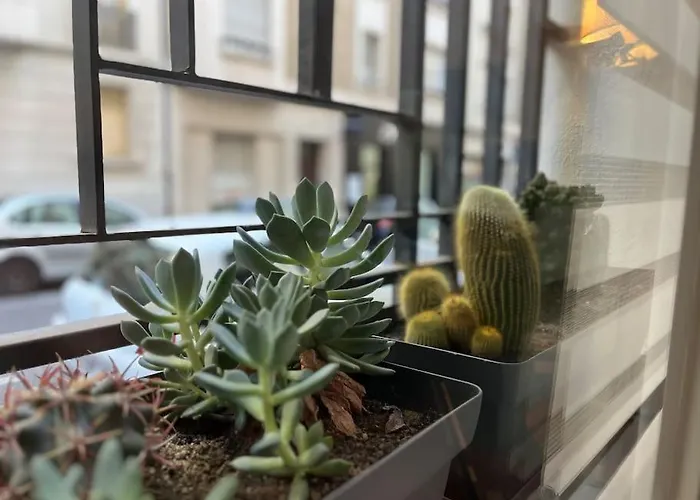 Studio Marseille